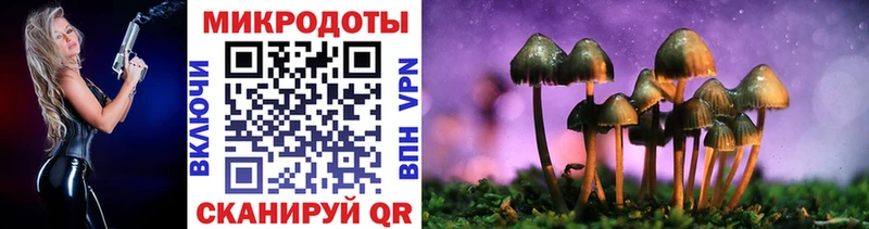 MEGA рабочий сайт  что такое   Вяземский  дарк нет наркотические препараты  Псилоцибиновые грибы прущие грибы 