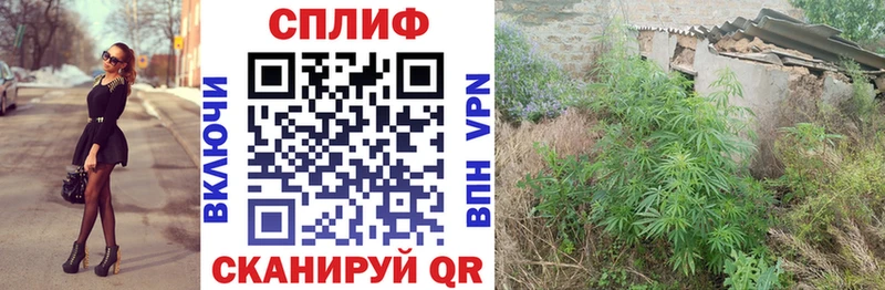 OMG зеркало где купить наркоту Вяземский Бошки Шишки Bruce Banner